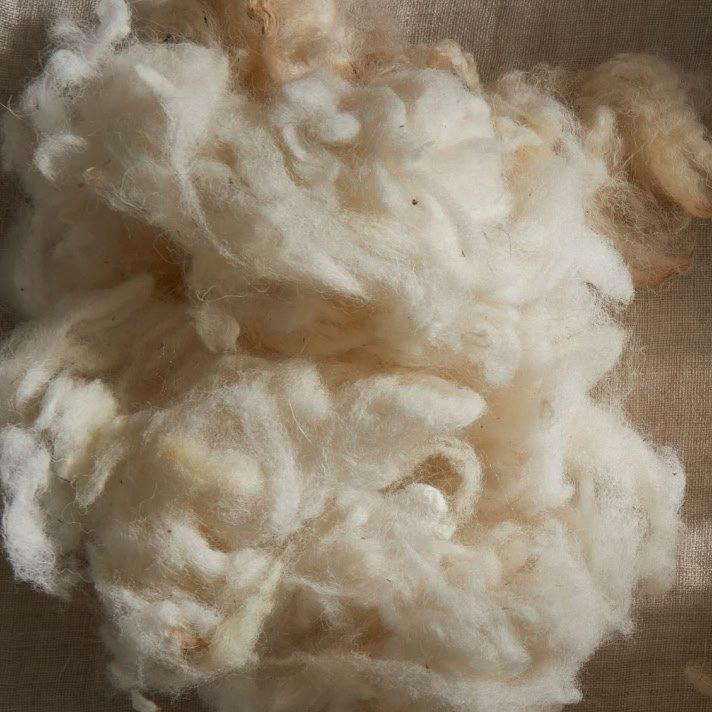 a pile of white fluffy wool on a cloth surface