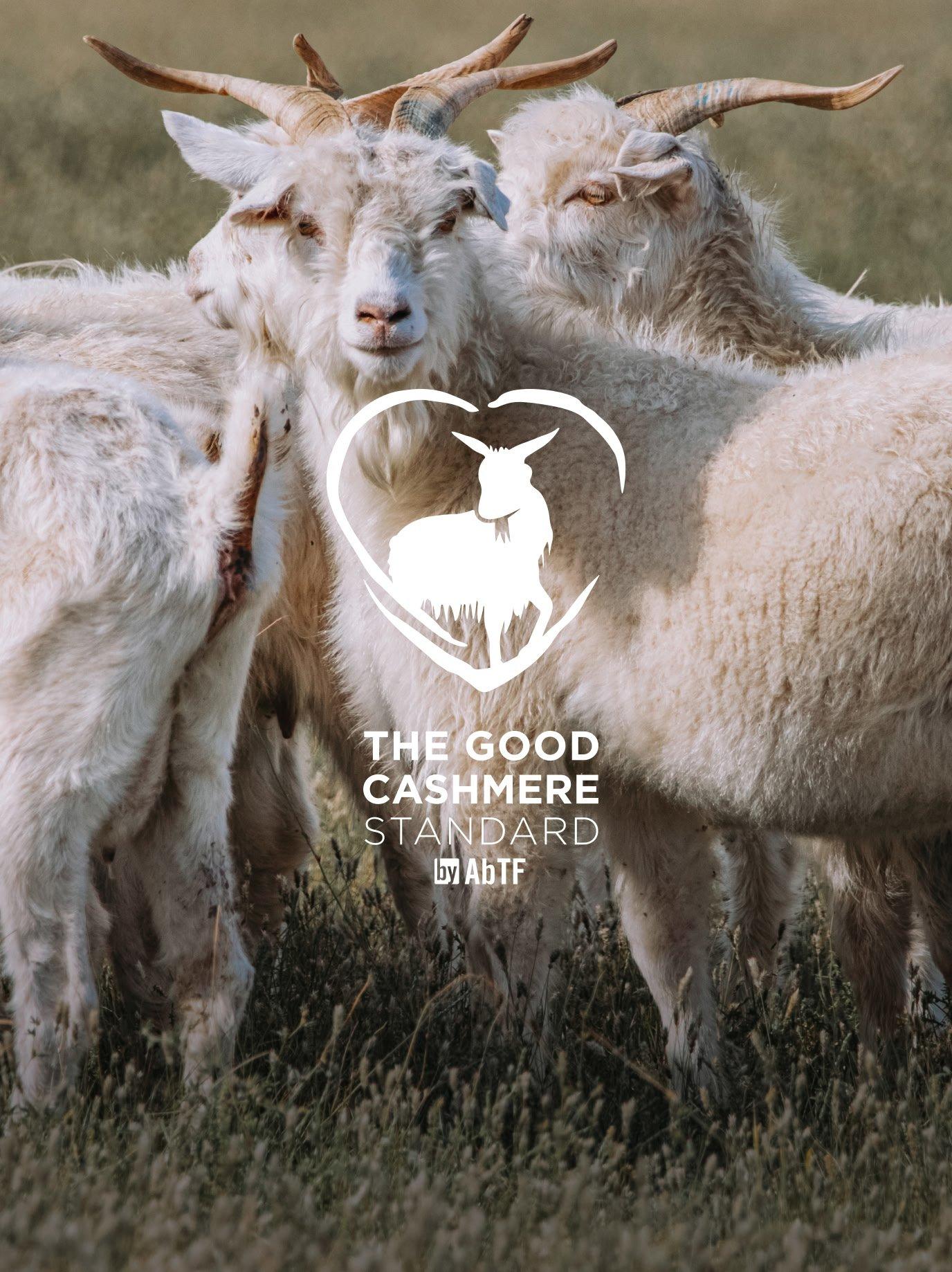 Good cashmere standard logo